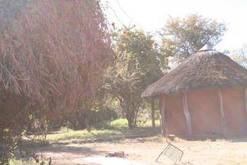serowe 008