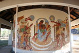 cyrene002