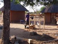 chaku038