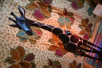 IMG_3692_shop