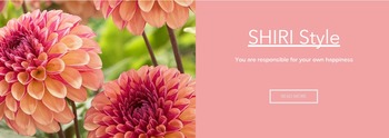 SHIRIStyle_title