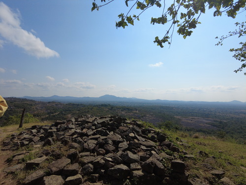 DJI_0635