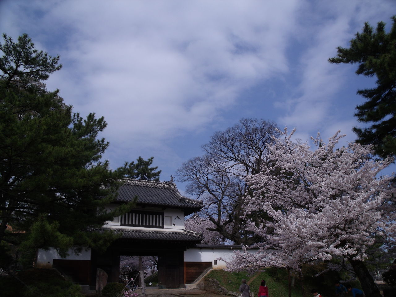 DSCF1411