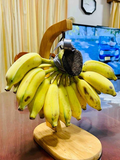 アフロ農園 アフロリゾート はじまり編