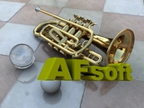 AFlogo053f