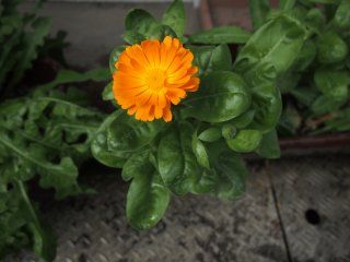 20150421a