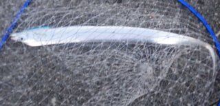 20231012b
