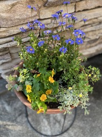 IMG_0254