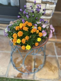 IMG_0249