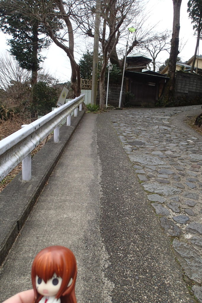 ウォーキング と 自転車