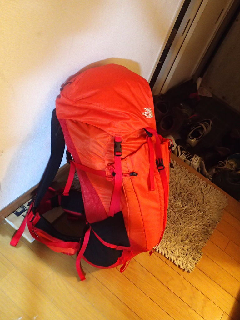 ノルディックウォーキングと蓼科山 自転車で痩せぬオタクブログ