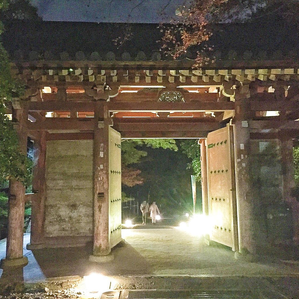 幻想的な美しい景観 醍醐寺ライトアップへ Life In One Day 花と猫 時々ｄｉｙ