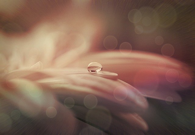 drop-of-water-642619_640