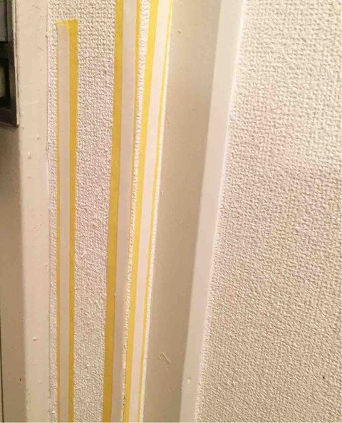 猫の爪とぎから壁を保護 プラダンで安価に簡単 腰壁風の作り方 1 Life In One Day 花と猫 時々ｄｉｙ