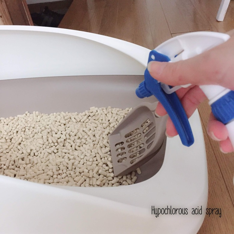 追記あり ペットのお世話に欠かせない次亜塩素酸スプレー ダイソーのウイルス除菌スプレーも Life In One Day 花と猫 時々diy