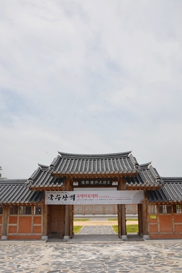 13135DSC_7874