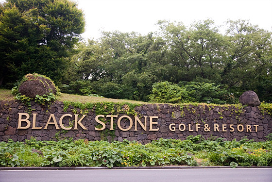 [519268]20140616-005-mejion