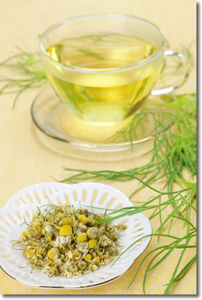 German_Camomile320_2