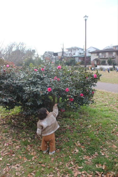 25-12-25-14-01-43-710_deco