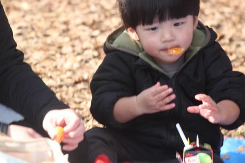 26-01-06-21-33-16-229_deco