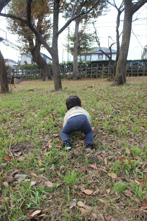 25-12-25-14-11-33-003_deco