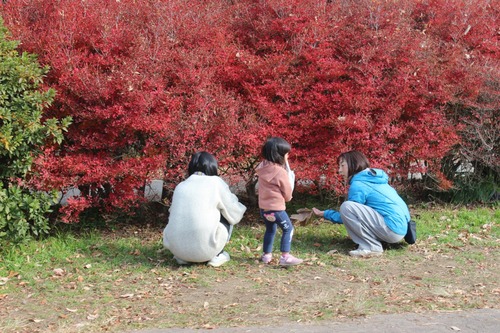 26-01-06-21-41-22-531_deco