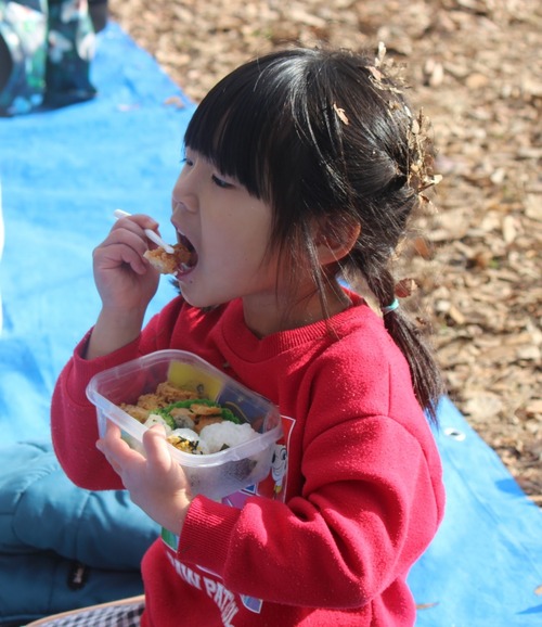 26-01-06-21-55-46-343_deco