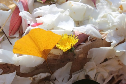 26-01-06-21-34-46-079_deco