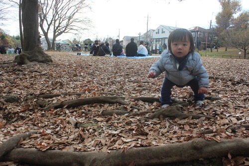 26-01-06-21-39-06-512_deco