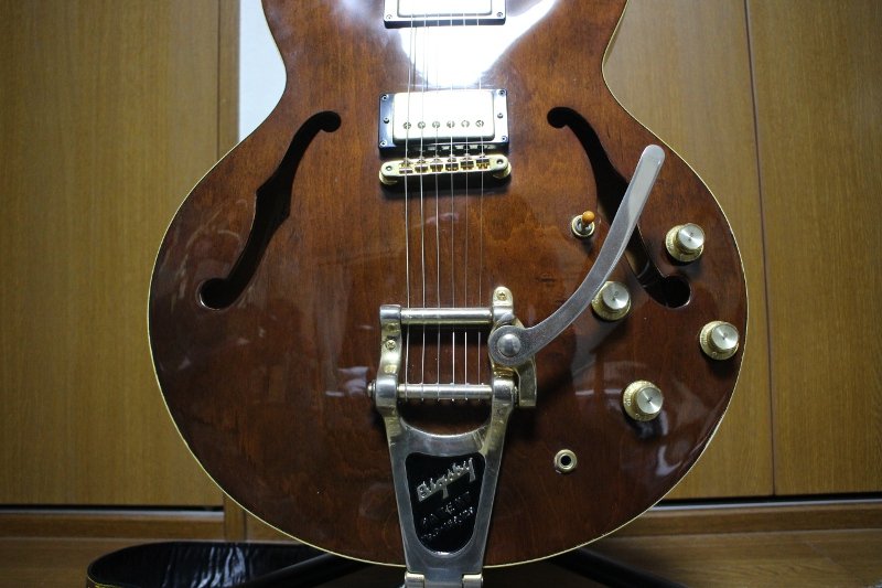 先日買ったギター : おろかなるひとり言