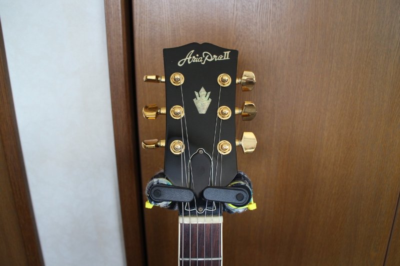 先日買ったギター : おろかなるひとり言