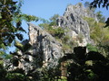 DSCF1984