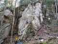 DSCF2281