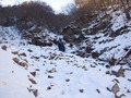 DSCF2130