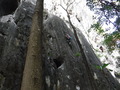 DSCF1925