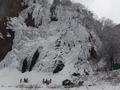 DSCF2045