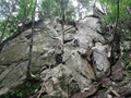 DSCF2144