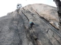 DSCF1784