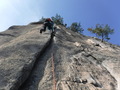 DSCF1770