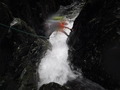 DSCF1584