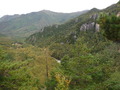 DSCF2251