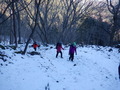 DSCF2124