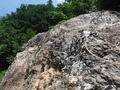 DSCF1503