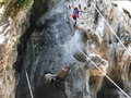 DSCF1948