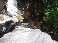 DSCF2265