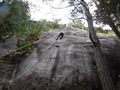 DSCF2262