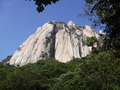 DSCF1761
