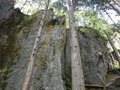 DSCF1230