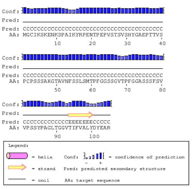 誰でも簡単にできる Hhpredを用いたタンパク質ホモロジーモデリング法 Ag