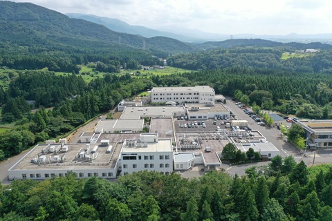 DJI_0034